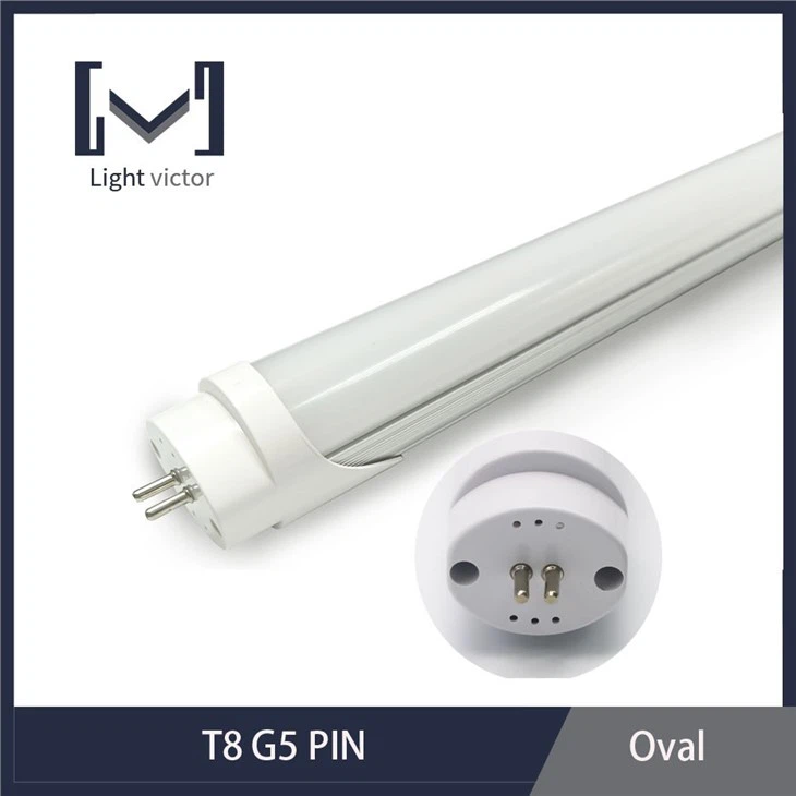 T8 G5 PIN OVAL